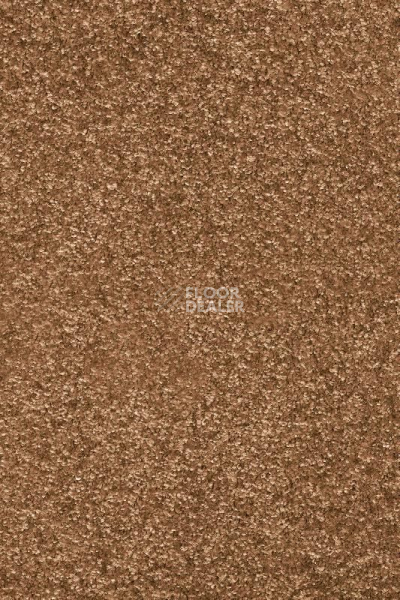 Ковролин AW Invictus Romelus 82 фото 1 | FLOORDEALER